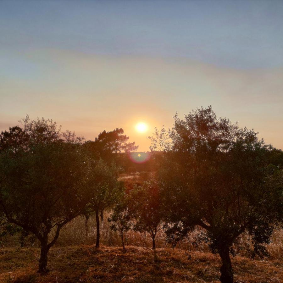 Sardoal Casa Do Pisco 빌라 외부 사진
